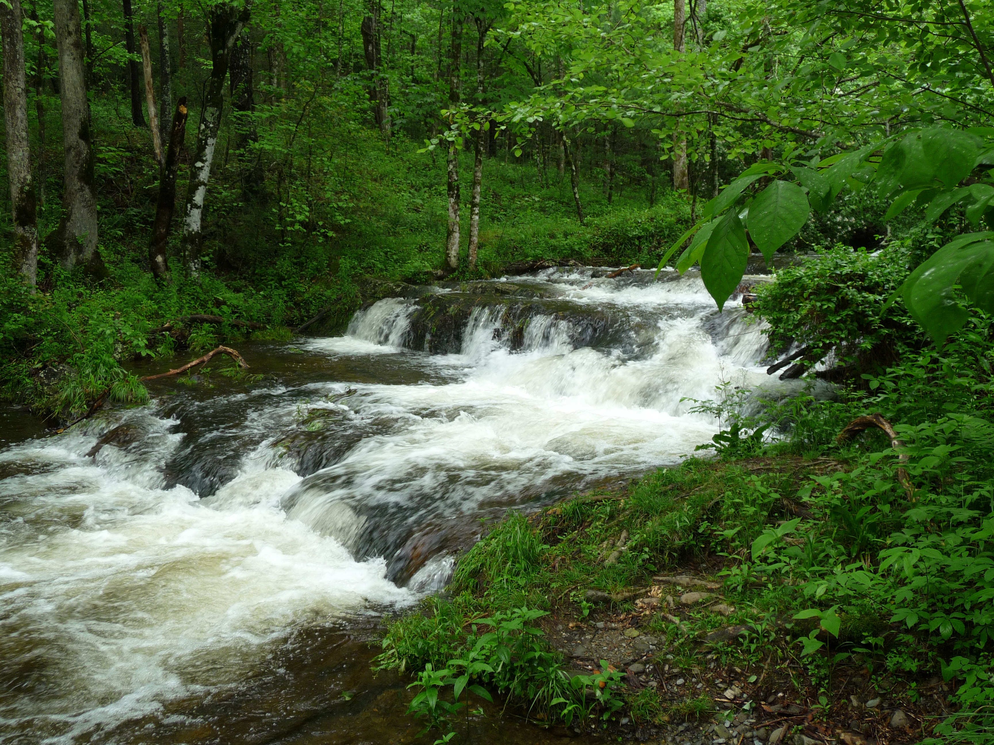 Creek1 Creek1