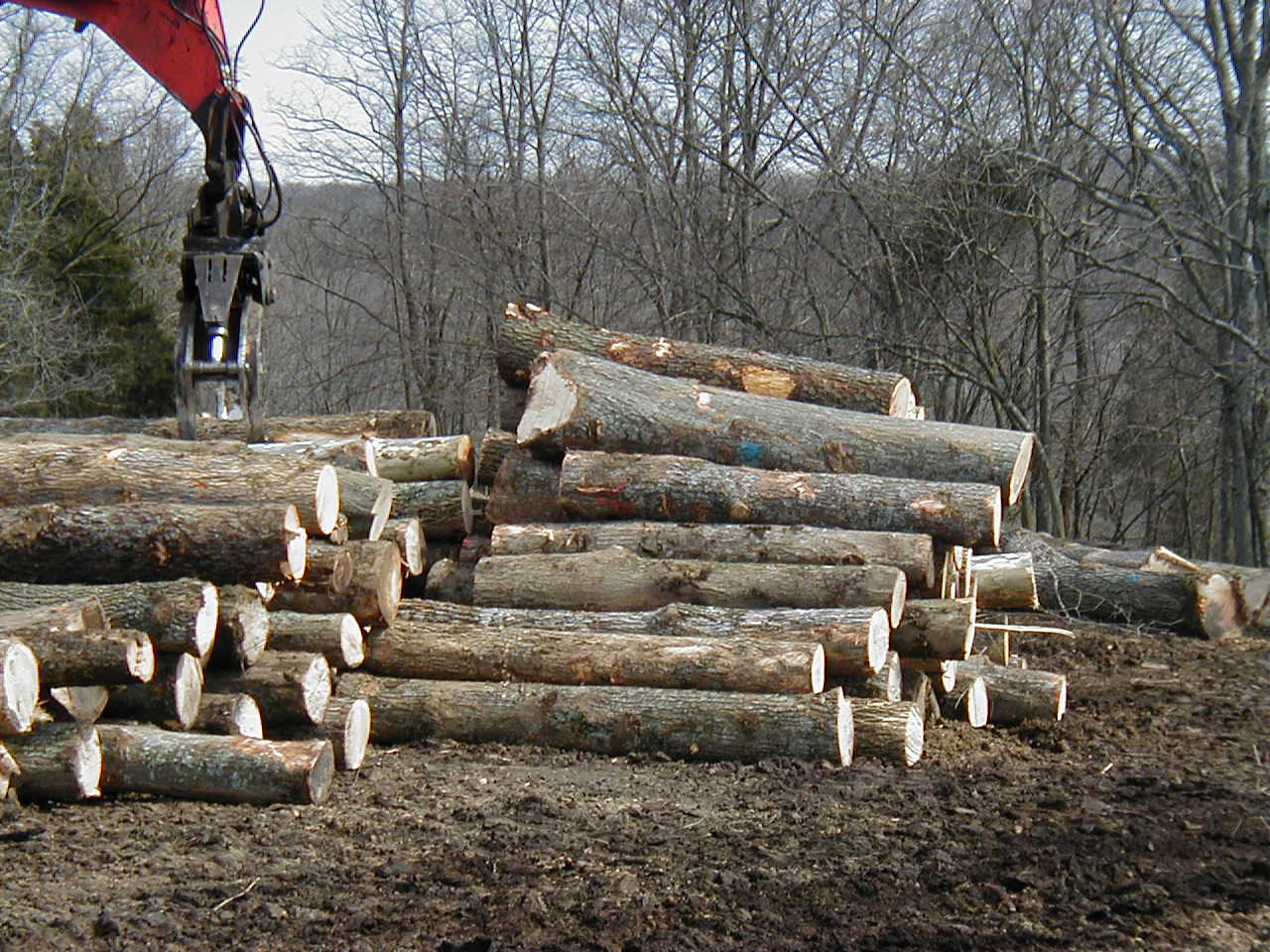 Marx Log Pile